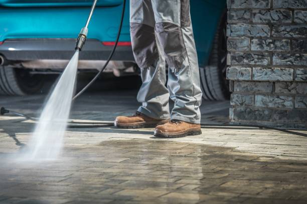 Best Residential Exterior Washing  in Hartington, NE